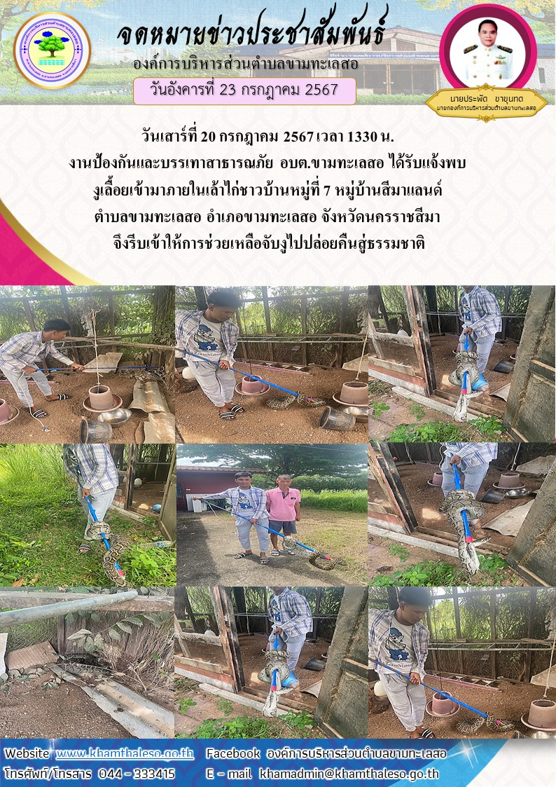    วันเสาร์ที่ 20 กรกฎาคม 2567 เวลา 1330 น.งานป้องกันและบรรเทาสาธารณภัย อบต.ขามทะเลสอ ได้รับแจ้งพบงูเลื้อยเข้ามาภายในเล้าไก่ชาวบ้านหมู่ที่ 7 หมู่บ้านสีมาแลนด์ ตำบลขามทะลสอ อำเภอขามทะลสอ จังหวัดนครราชสีมา จึงรีบเข้าให้การช่วยเหลือจับงูไปปล่อยคืนสู่ธรรมชาติ