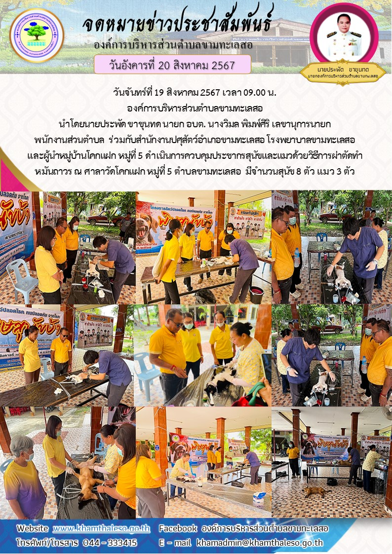 วันจันทร์ที่ 19 สิงหาคม 2567 เวลา 09.00 น. องค์การบริหารส่วนตำบลขามทะเลสอ นำโดยนายประพัด ขาขุนทด นายก อบต. นางวิมล พิมพ์ศิริ เลขานุการนายก พนักงานส่วนตำบล  ร่วมกับสำนักงานปศุสัตว์อำเภอขามทะเลสอ โรงพยาบาลขามทะเลสอ  และผู้นำหมู่บ้านโคกแฝก หมู่ที่ 5 ดำเนินการควบคุมประชากรสุนัขและแมวด้วยวิธีการผ่าตัดทำหมันถาวร ณ ศาลาวัดโคกแฝก หมู่ที่ 5 ตำบลขามทะเลสอ  มีจำนวนสุนัข 8 ตัว แมว 3 ตัว